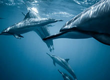 星空体育下载-江俊4-3战胜塞尔比 晋级斯诺克威尔士公开赛32强