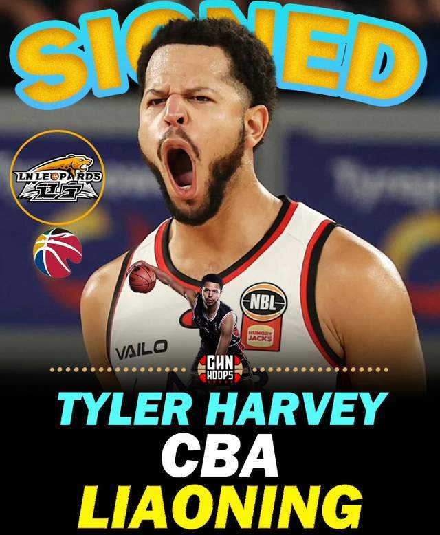 星空体育下载-单场33+11超级外援正式重返CBA！辽篮抢人成功，能否补强最大短板